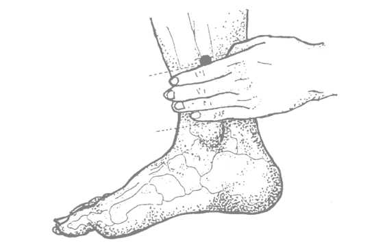 Point of the Month: Sanyinjiao